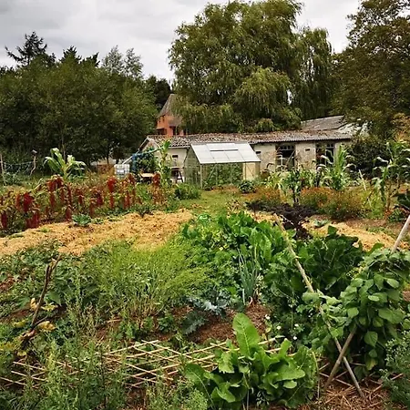 Troldeslottet Appartamento